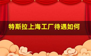 特斯拉上海工厂待遇如何