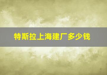 特斯拉上海建厂多少钱