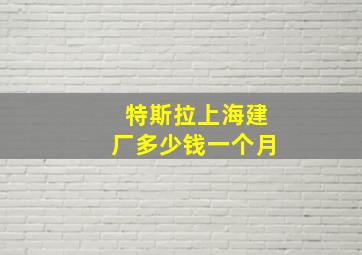 特斯拉上海建厂多少钱一个月