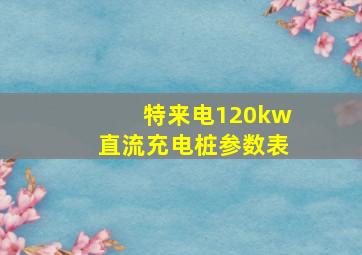 特来电120kw直流充电桩参数表