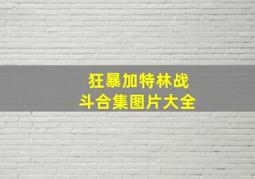 狂暴加特林战斗合集图片大全