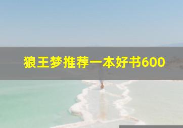 狼王梦推荐一本好书600