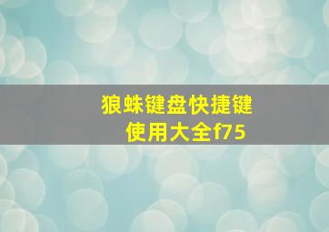 狼蛛键盘快捷键使用大全f75