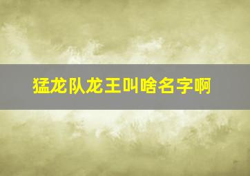 猛龙队龙王叫啥名字啊