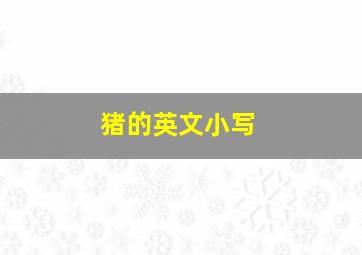 猪的英文小写