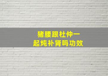 猪腰跟杜仲一起炖补肾吗功效