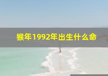 猴年1992年出生什么命