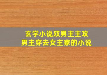 玄学小说双男主主攻男主穿去女主家的小说