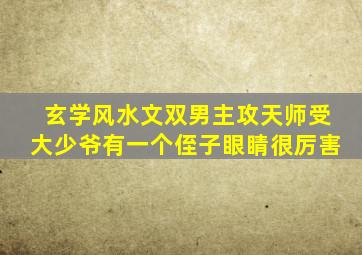 玄学风水文双男主攻天师受大少爷有一个侄子眼睛很厉害