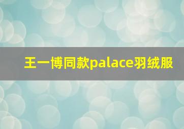 王一博同款palace羽绒服