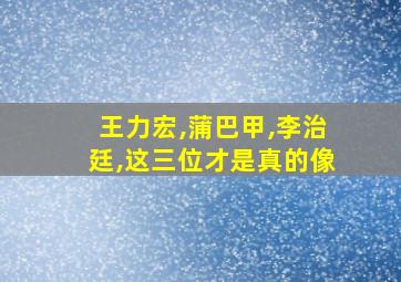 王力宏,蒲巴甲,李治廷,这三位才是真的像