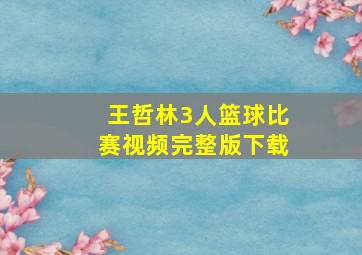 王哲林3人篮球比赛视频完整版下载