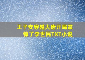 王子安穿越大唐开局震惊了李世民TXT小说