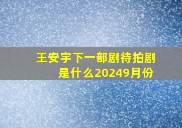 王安宇下一部剧待拍剧是什么20249月份