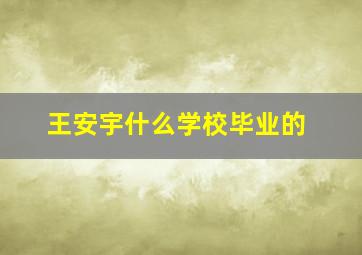 王安宇什么学校毕业的