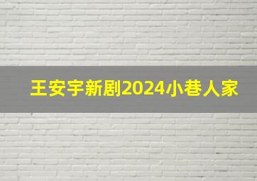 王安宇新剧2024小巷人家