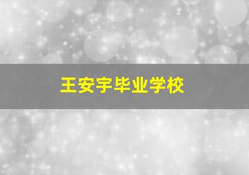 王安宇毕业学校