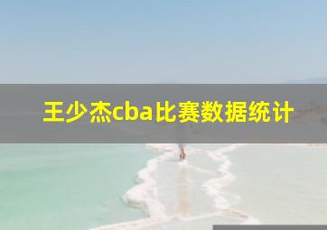 王少杰cba比赛数据统计