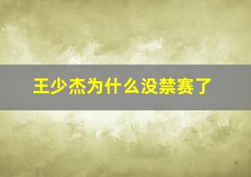 王少杰为什么没禁赛了