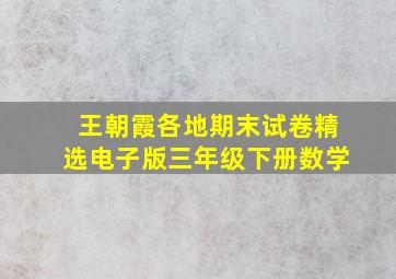 王朝霞各地期末试卷精选电子版三年级下册数学