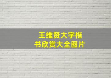 王维贤大字楷书欣赏大全图片