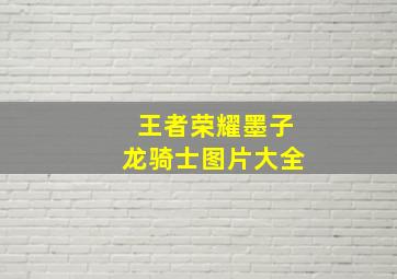 王者荣耀墨子龙骑士图片大全