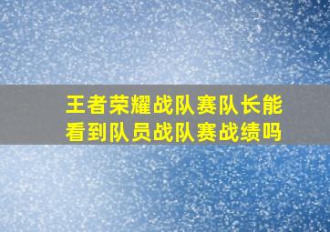 王者荣耀战队赛队长能看到队员战队赛战绩吗