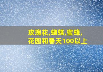 玫瑰花,蝴蝶,蜜蜂,花园和春天100以上