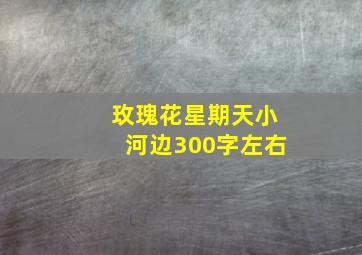 玫瑰花星期天小河边300字左右