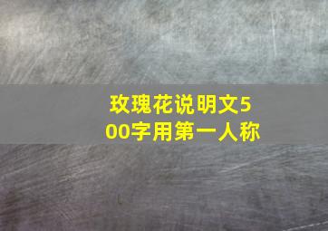 玫瑰花说明文500字用第一人称