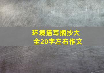 环境描写摘抄大全20字左右作文