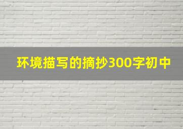 环境描写的摘抄300字初中