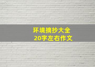 环境摘抄大全20字左右作文