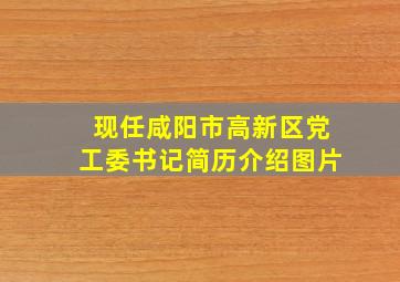 现任咸阳市高新区党工委书记简历介绍图片