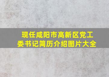 现任咸阳市高新区党工委书记简历介绍图片大全