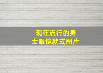 现在流行的男士眼镜款式图片