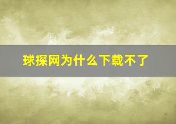 球探网为什么下载不了