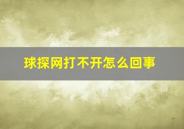 球探网打不开怎么回事