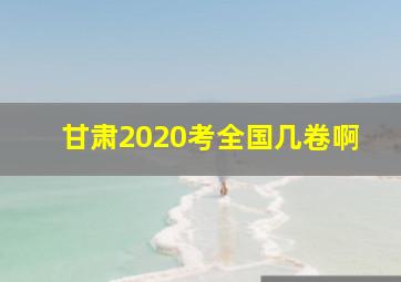 甘肃2020考全国几卷啊