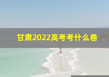 甘肃2022高考考什么卷