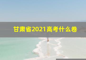 甘肃省2021高考什么卷