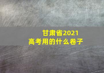 甘肃省2021高考用的什么卷子