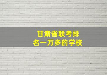 甘肃省联考排名一万多的学校