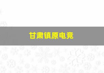 甘肃镇原电竞