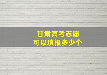 甘肃高考志愿可以填报多少个