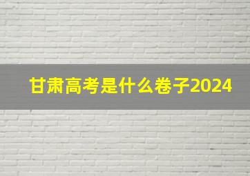 甘肃高考是什么卷子2024