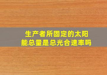 生产者所固定的太阳能总量是总光合速率吗