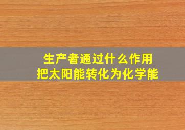 生产者通过什么作用把太阳能转化为化学能