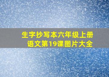 生字抄写本六年级上册语文第19课图片大全