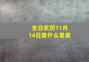 生日农历11月14日是什么星座